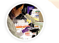 anti allergic medicines exporter, antimalarial medicines supplier, anti allergic medicines manufacturer